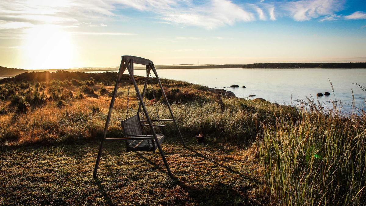 Illustration zu Simon Gosejohann