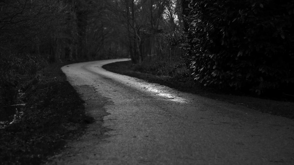 Something Very Bad Is Going To Happen Detailansicht: Something Very Bad Is Going To Happen