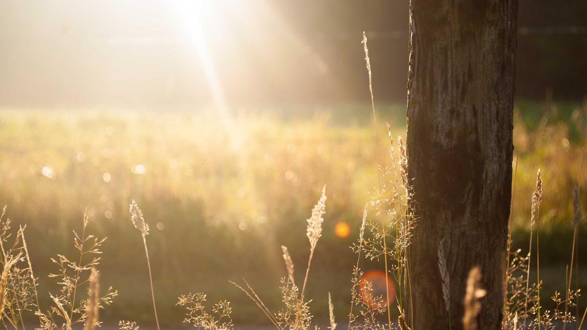 Detailansicht: Sommerzeit Umstellung