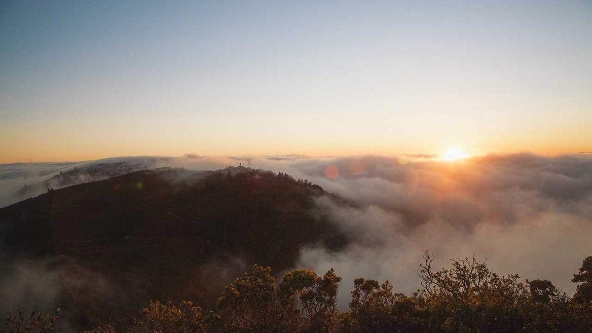 Symbolbild zum Thema Spritpreisbremse Deutschland