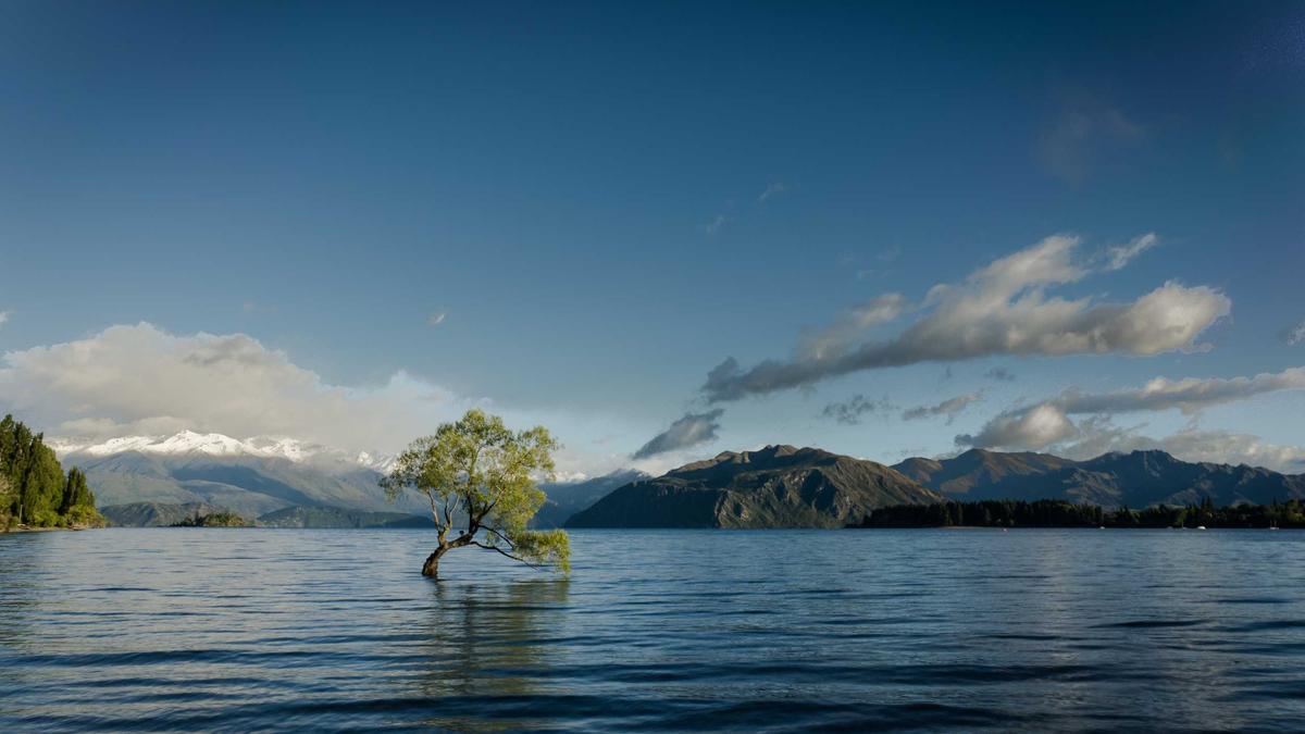 Illustration zu Spritpreise