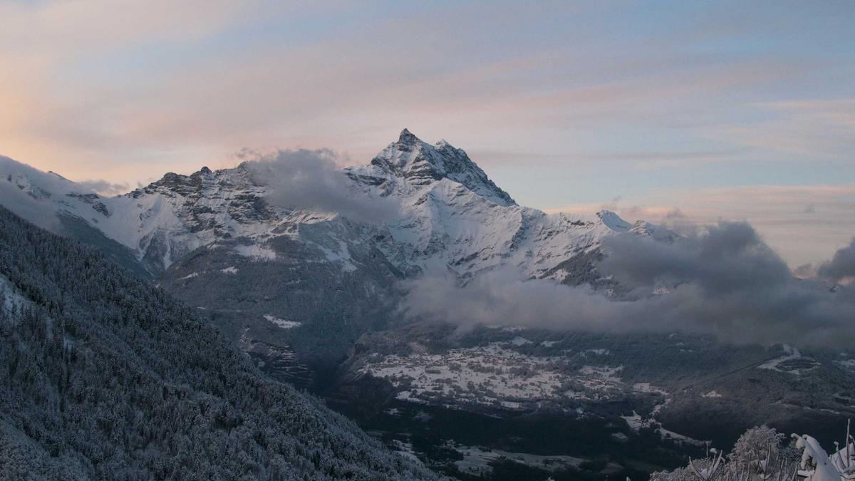 Detailansicht: SRF Live