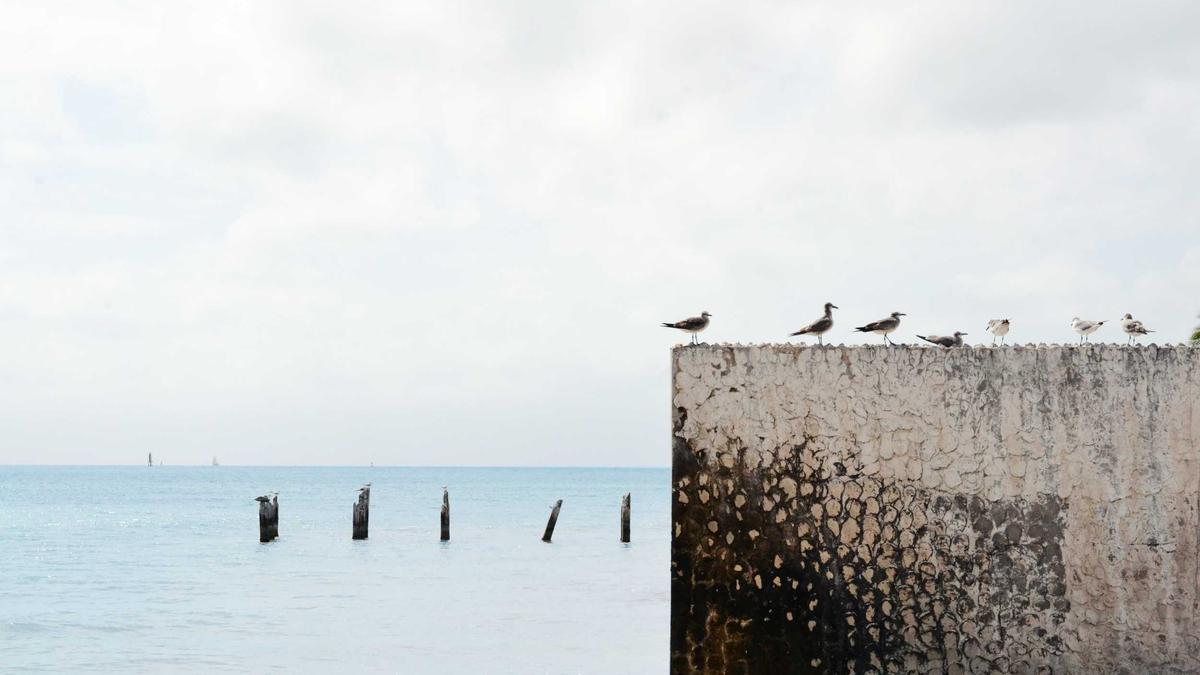 Streik Spanien Flughafen Illustration zu Streik Spanien Flughafen