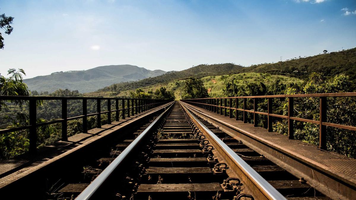 Detailansicht: Suchbild Husky