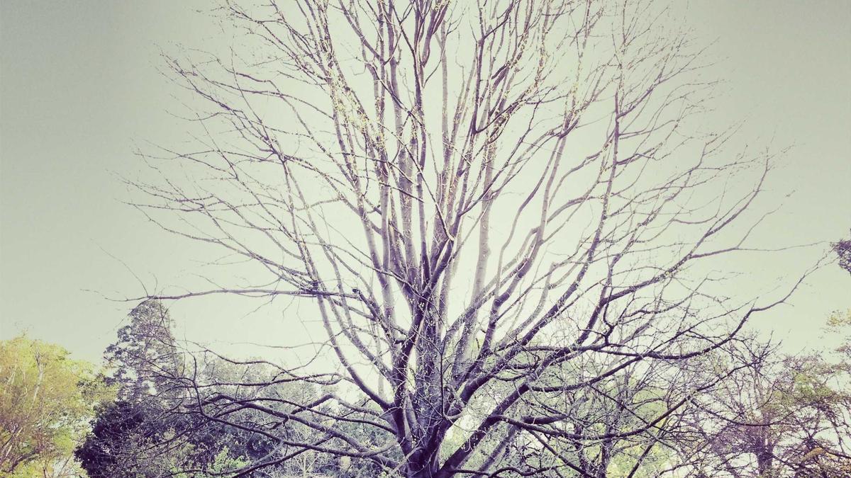 Illustration zu Super E10 Preise