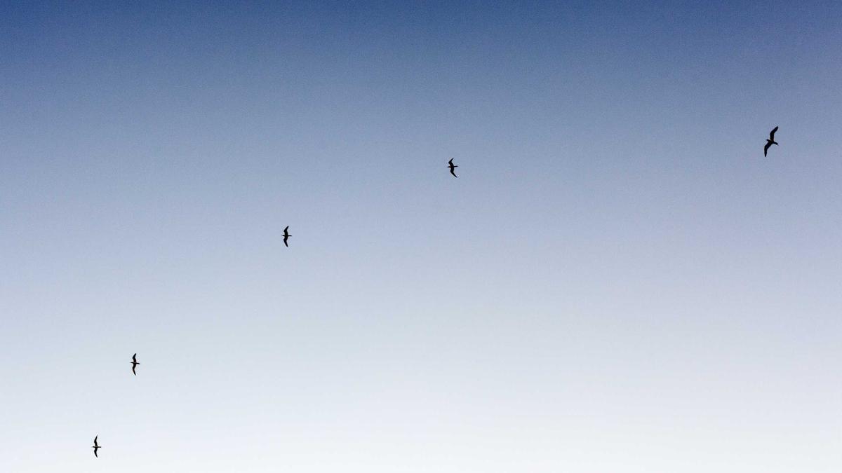 Detailansicht: Vergewaltigungsprozess Norwegen