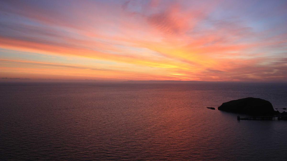 Detailansicht: Wahlarzthonorare Deckel