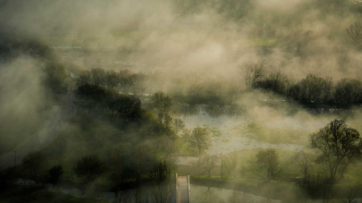 Wal In Wismar Detailansicht: Wal In Wismar