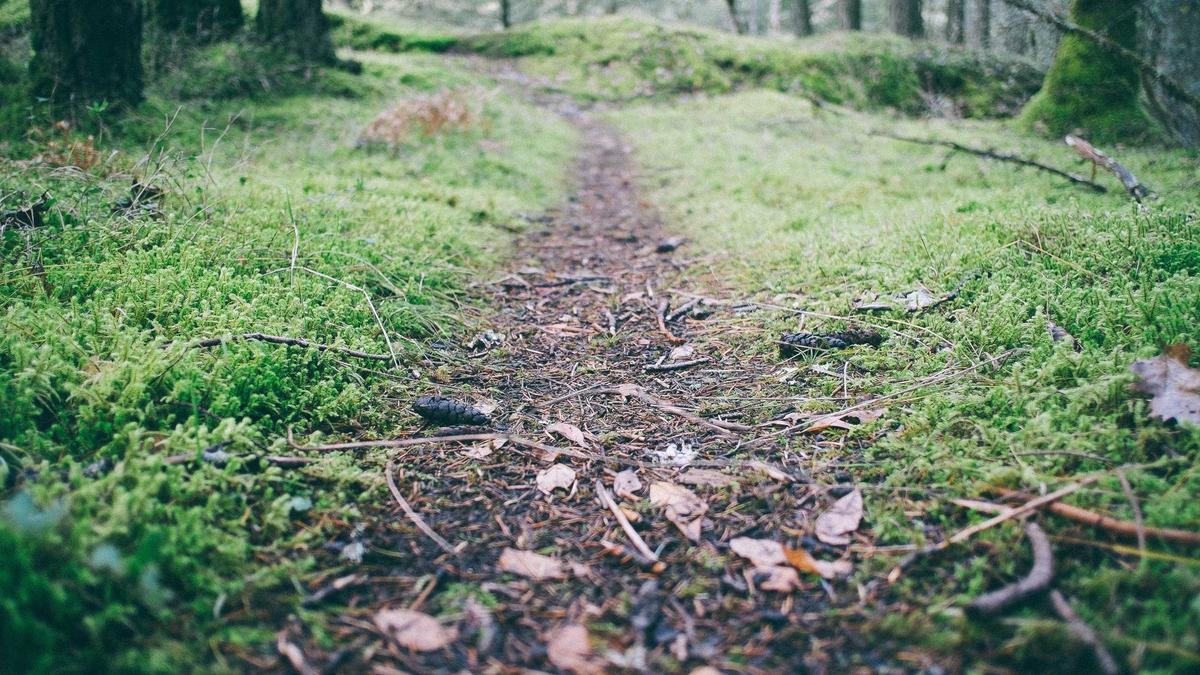 Detailansicht: Wetter Schnee