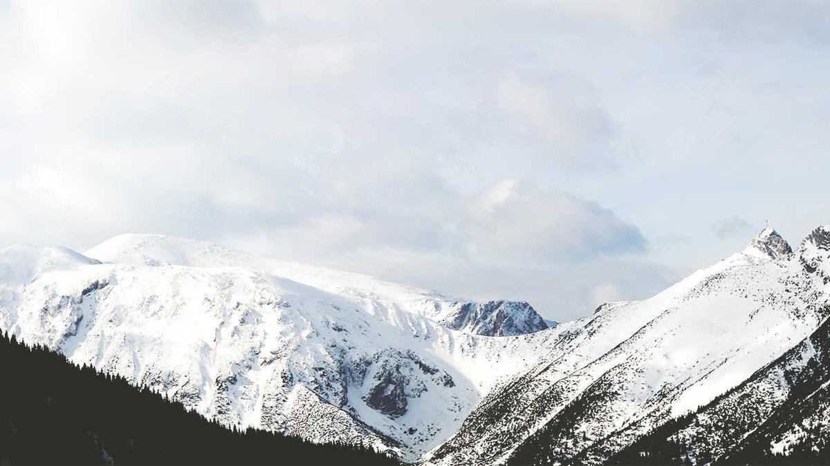 Wolke Hegenbarth Fake News Symbolbild zum Thema Wolke Hegenbarth Fake News
