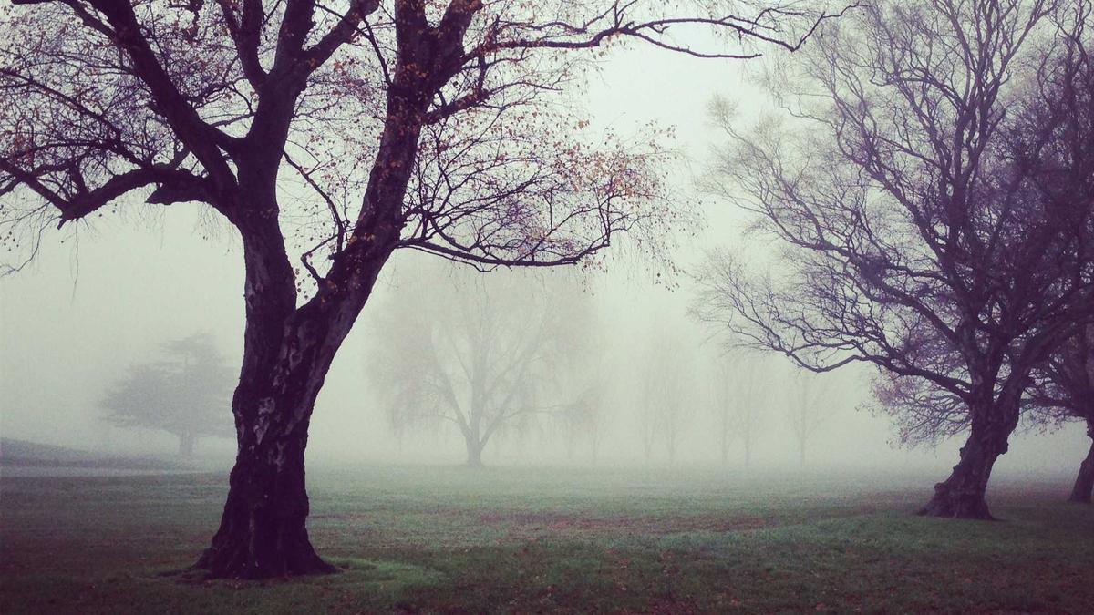 Wolke Hegenbarth Fake News Detailansicht: Wolke Hegenbarth Fake News