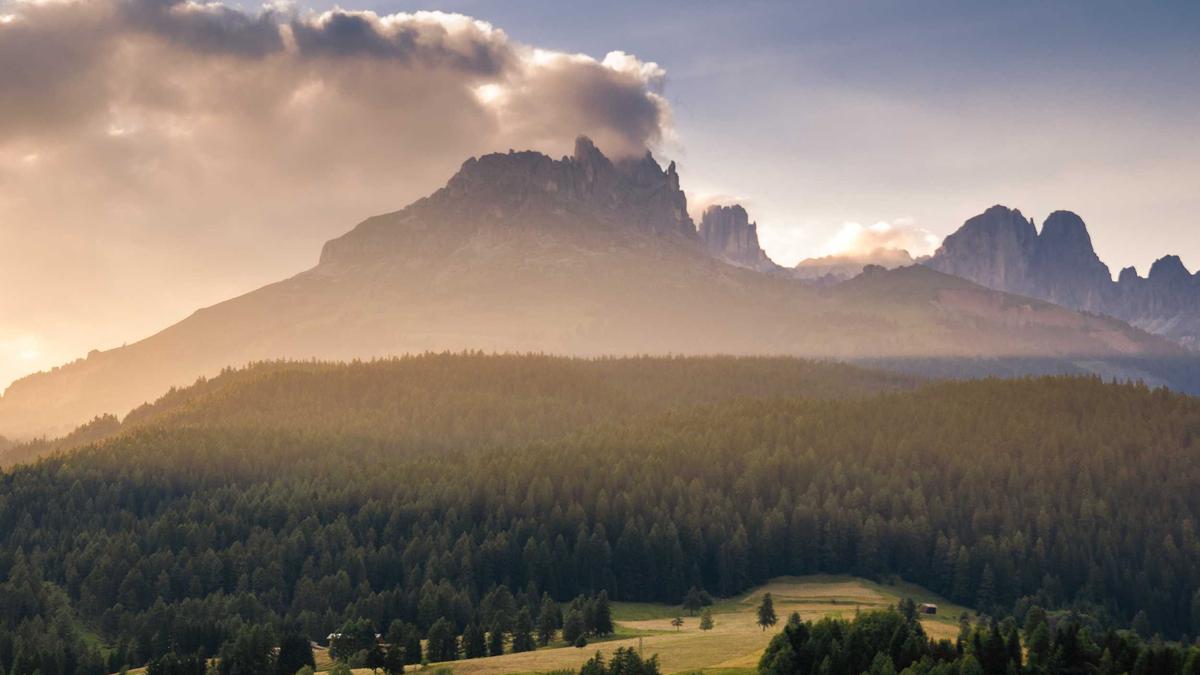 Detailansicht: Zelda Ocarina Of Time Remake