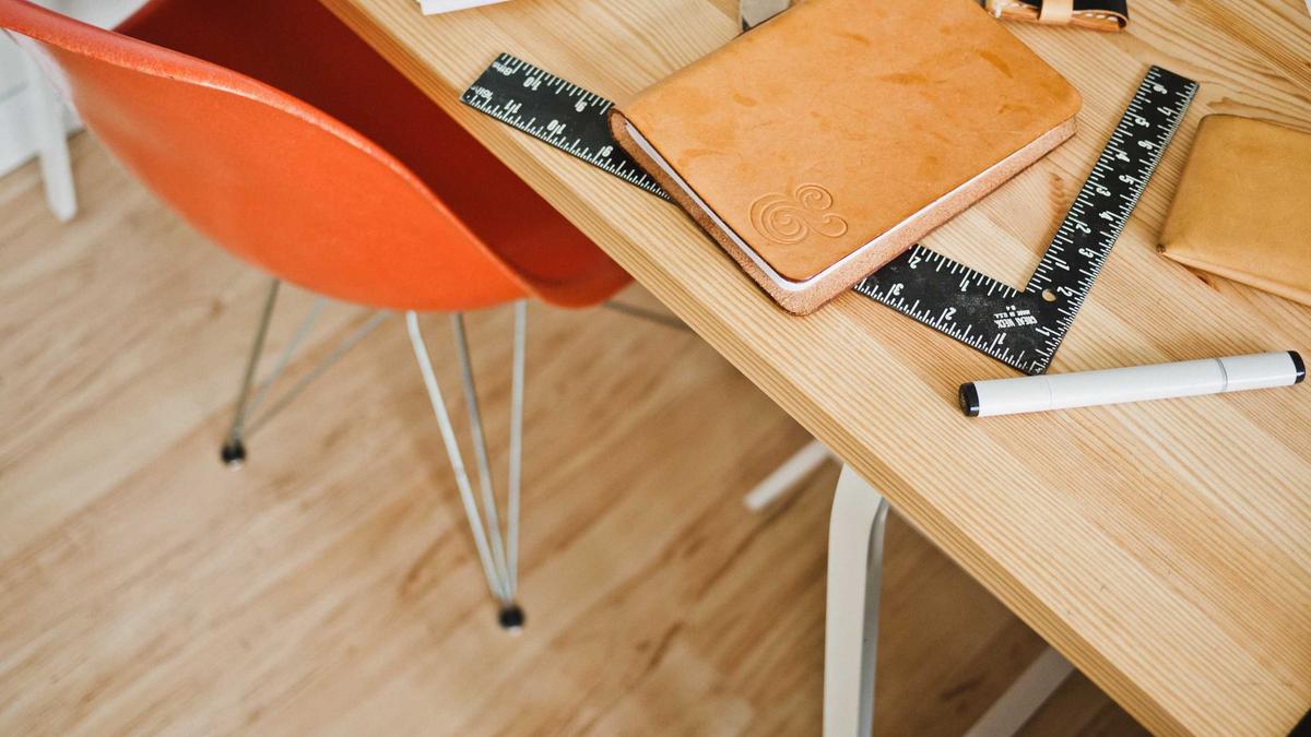 Detailansicht: Zucchini Pflanzen