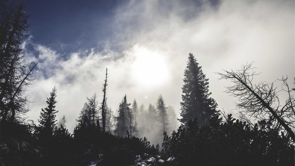 Adler Mannheim Tickets Symbolbild zum Thema Adler Mannheim Tickets