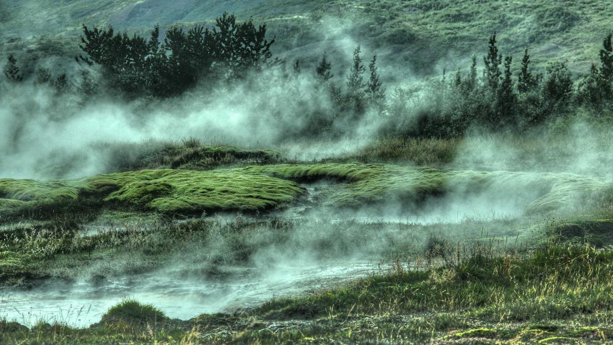 Detailansicht: Angelica Domroese