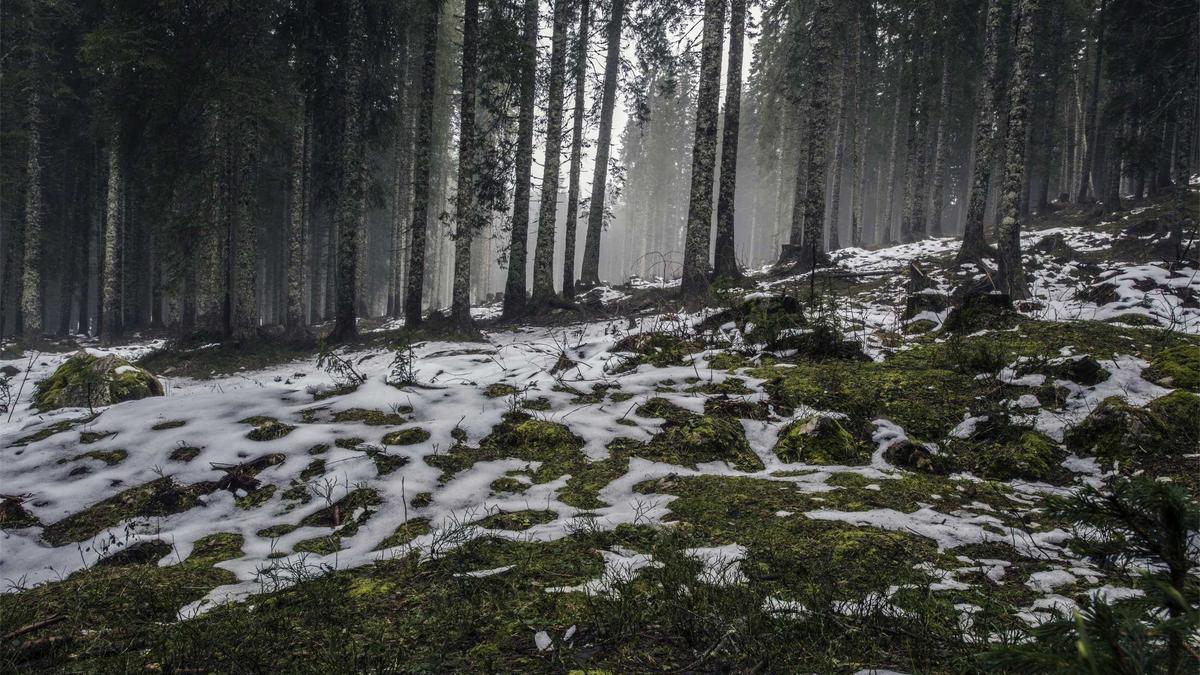 Illustration zu AUDI A3