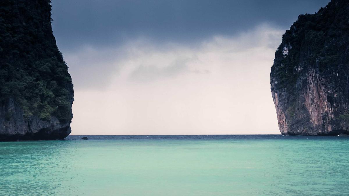 Detailansicht: Balkonpflanzen Sonniger Standort