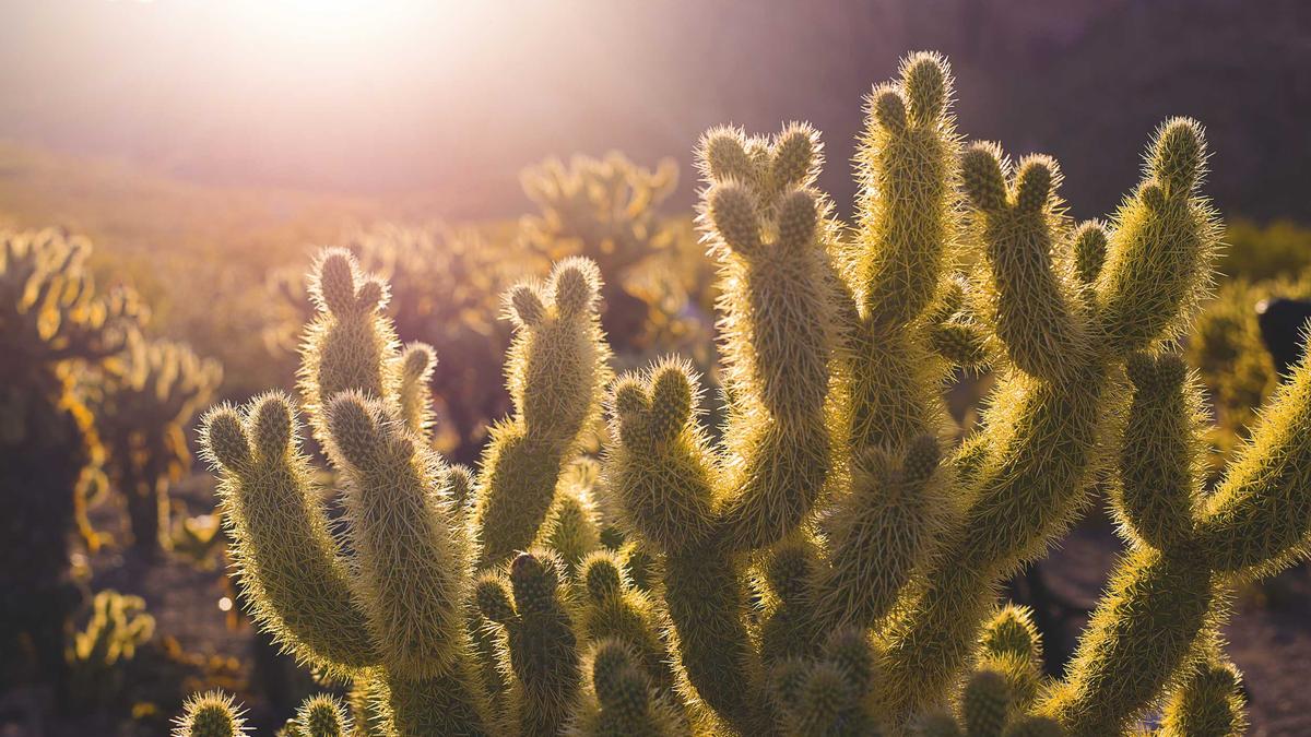 Illustration zu Baloise Holding