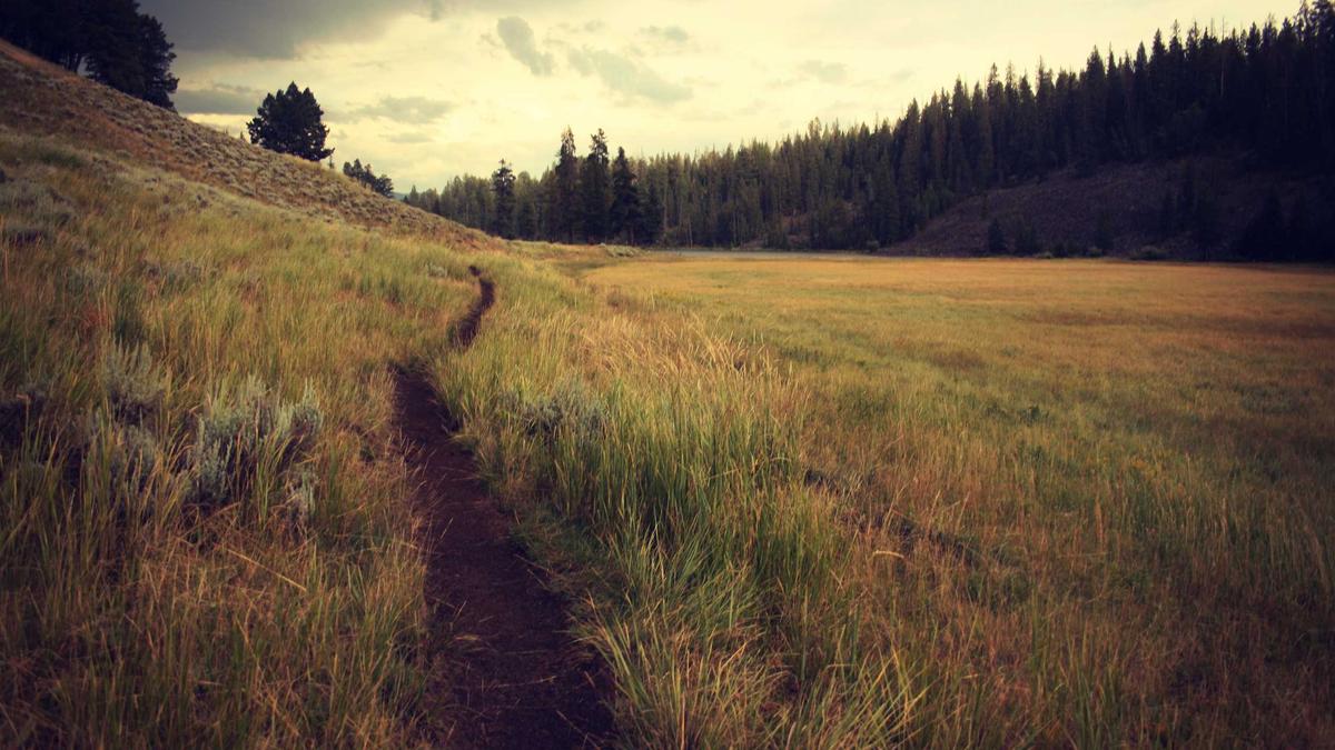 Illustration zu Besiktas