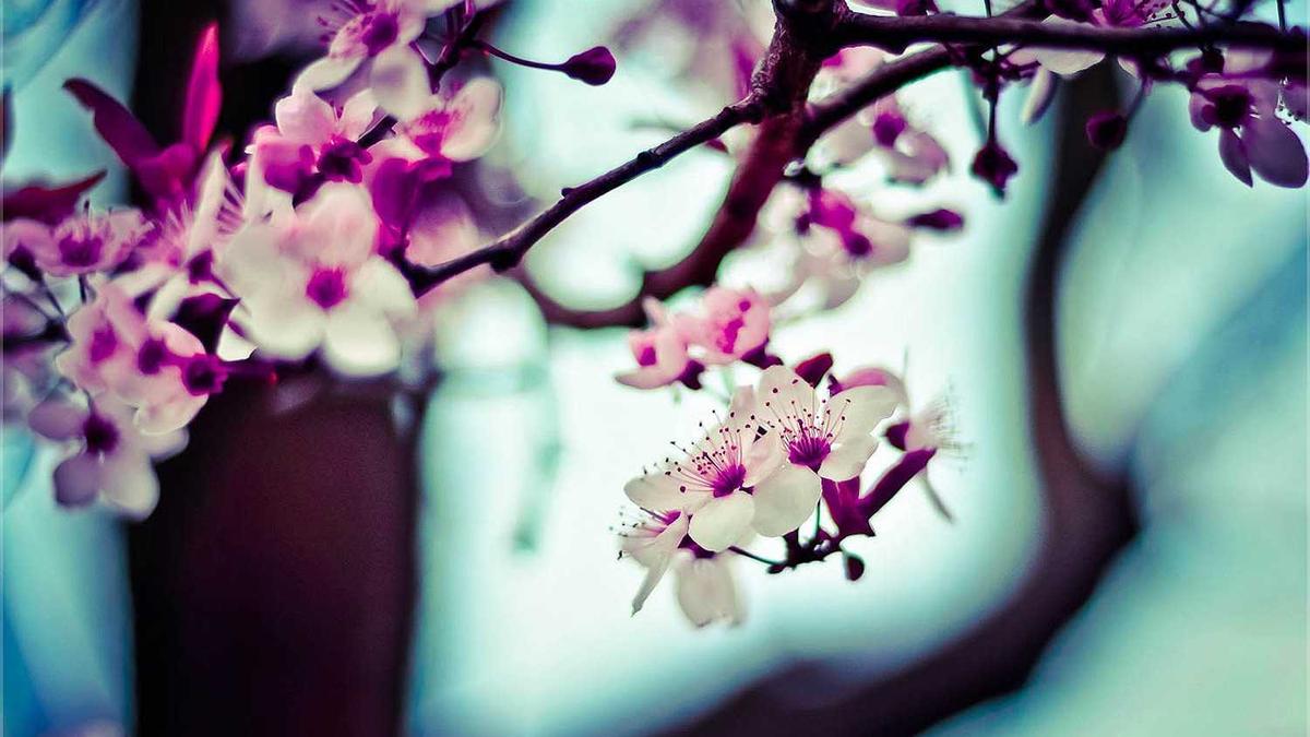 Illustration zu Bildungsreform Kritik