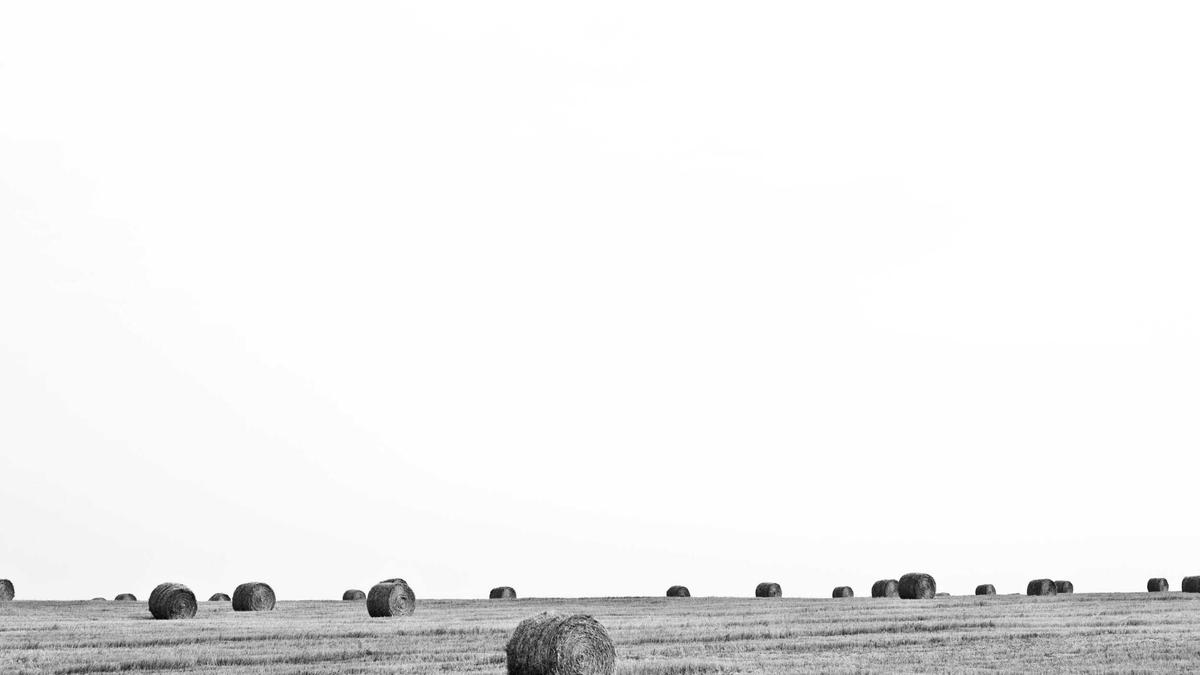 Charles Iii Symbolbild zum Thema Charles Iii