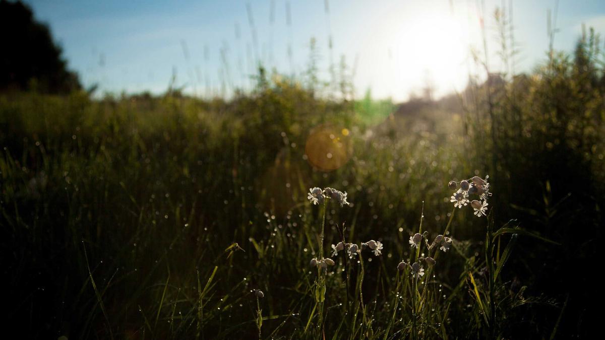 Symbolbild zum Thema Clarity Act