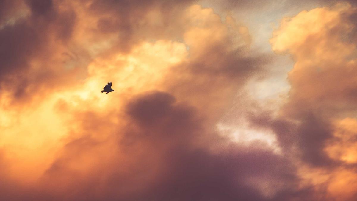 Illustration zu Die Giovanni Zarrella Show