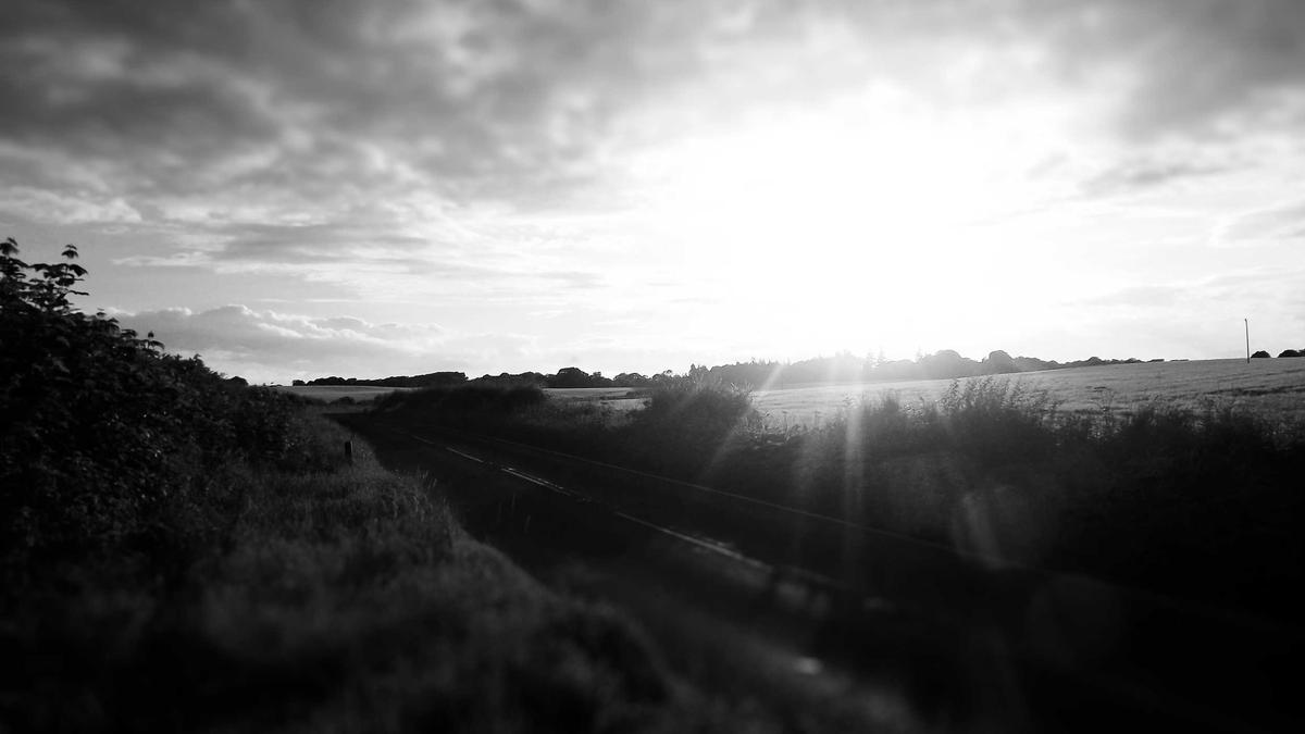 Illustration zu Die Toten Vom Bodensee