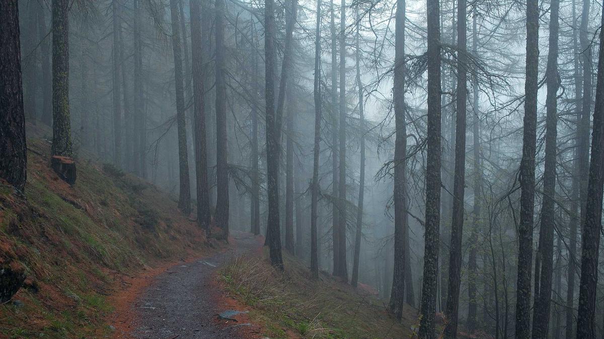 Detailansicht: Die Toten Vom Bodensee