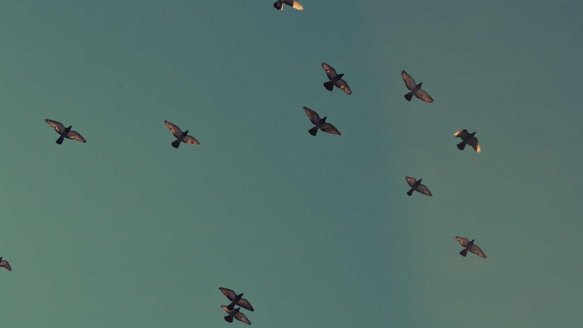 Symbolbild zum Thema Embouteillage