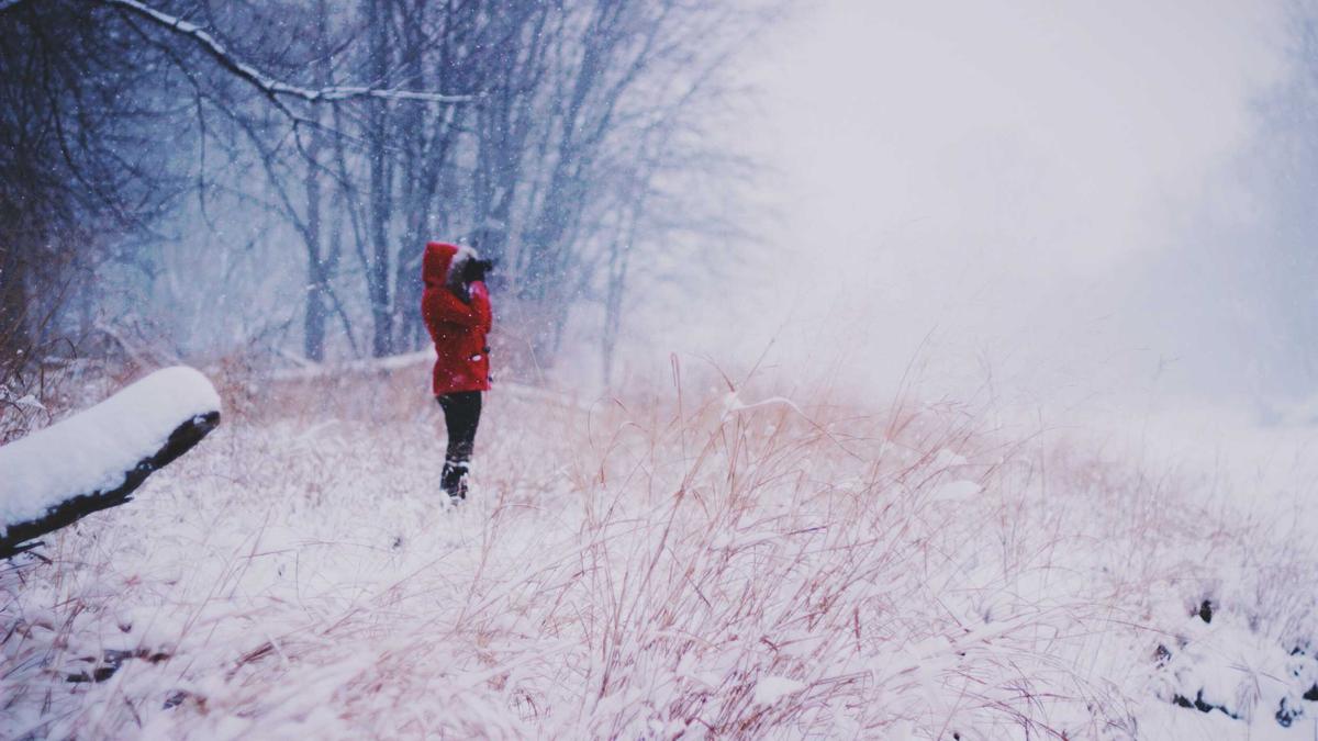 Symbolbild zum Thema EU Verbrennerverbot
