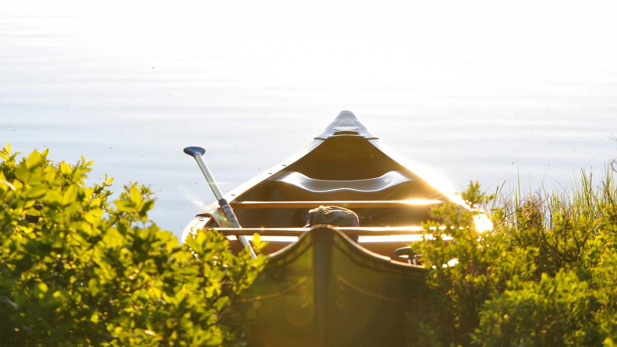 Detailansicht: GNTM Finale 2026