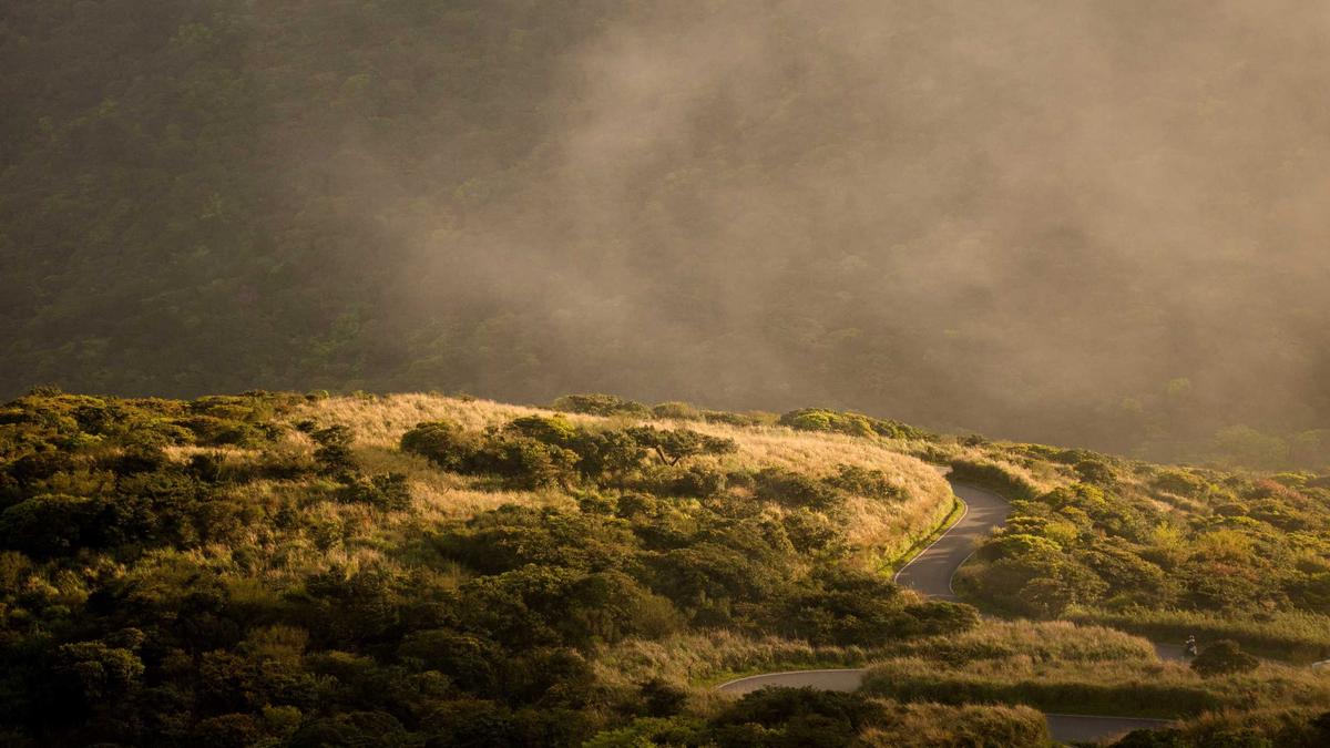 Detailansicht: Henning Baum