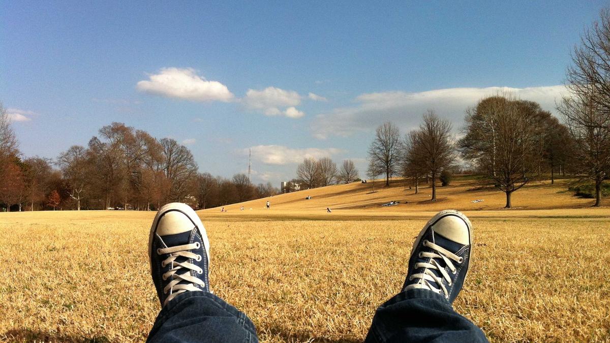 Ivana Trump Illustration zu Ivana Trump