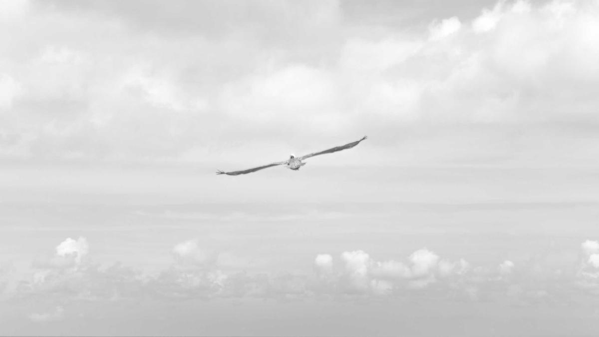 Detailansicht: Joseph Jackson