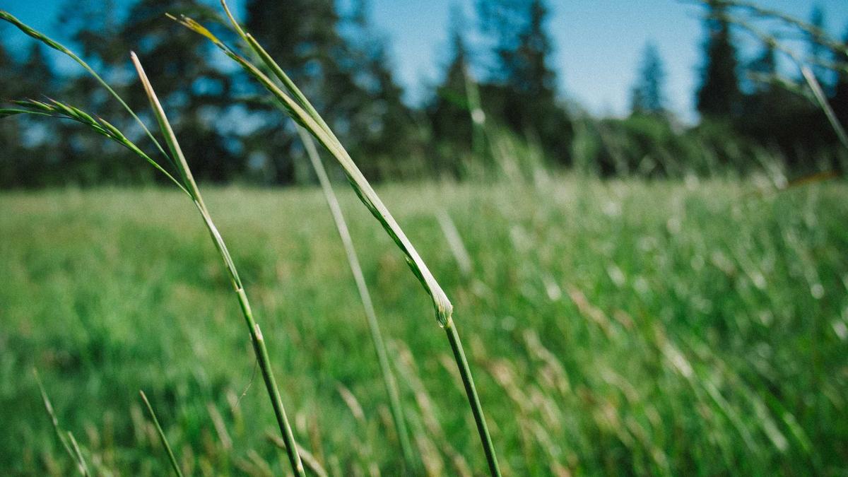 Detailansicht: KI Waffenangriff