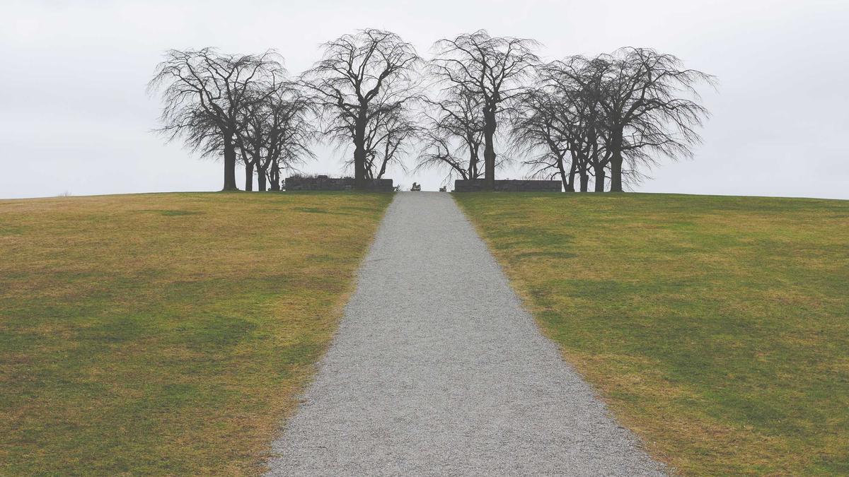 Detailansicht: König Charles