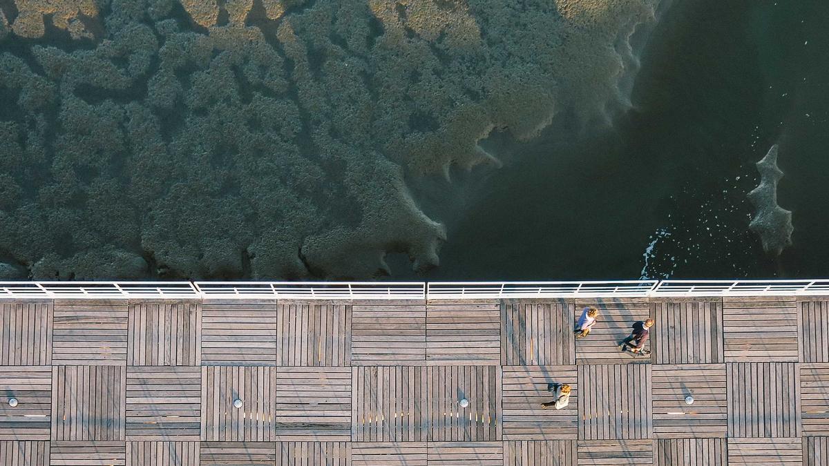 Kylian Mbappé Illustration zu Kylian Mbappé