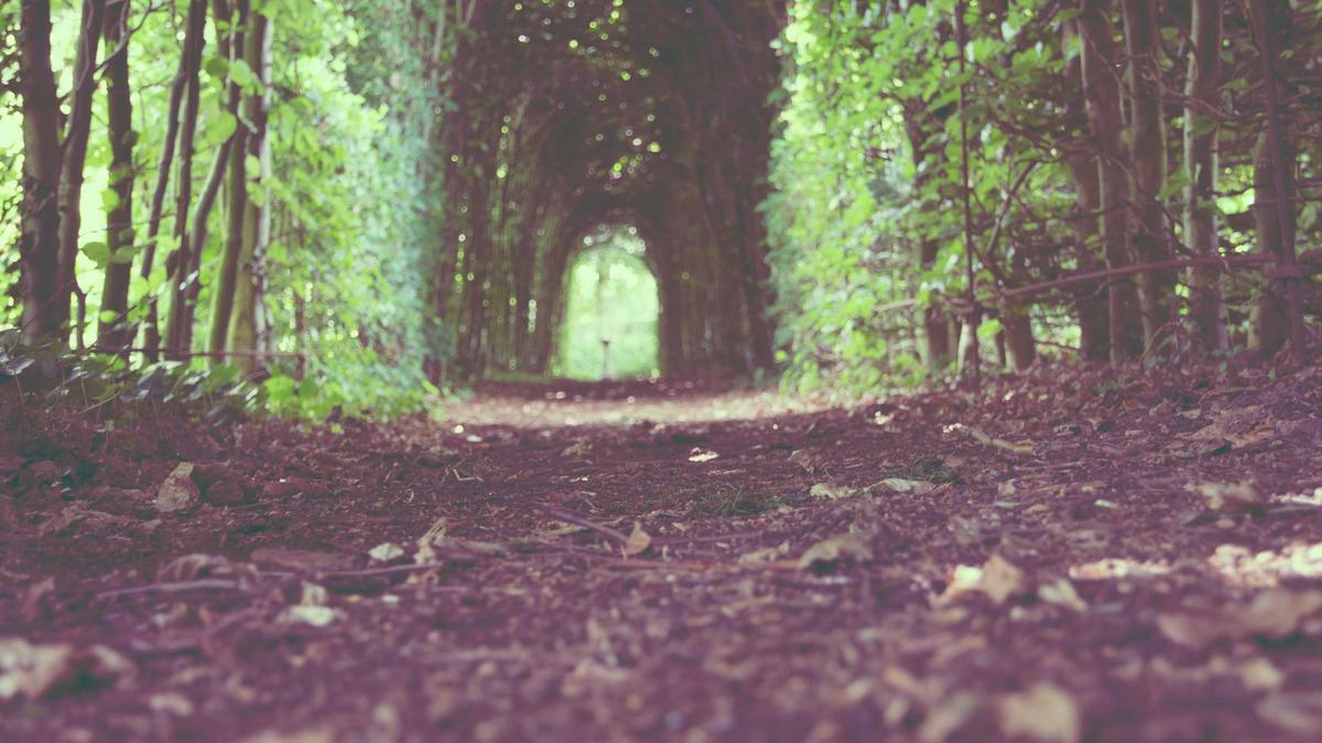 Illustration zu Nön