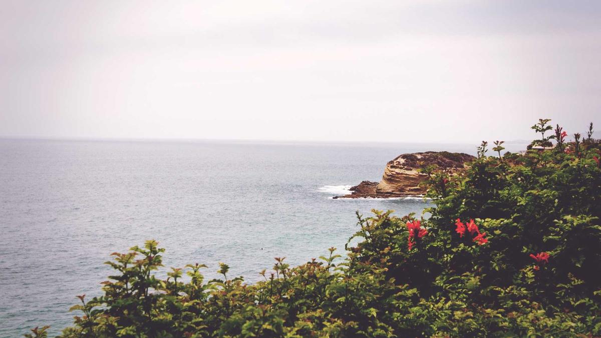 Oettinger Illustration zu Oettinger