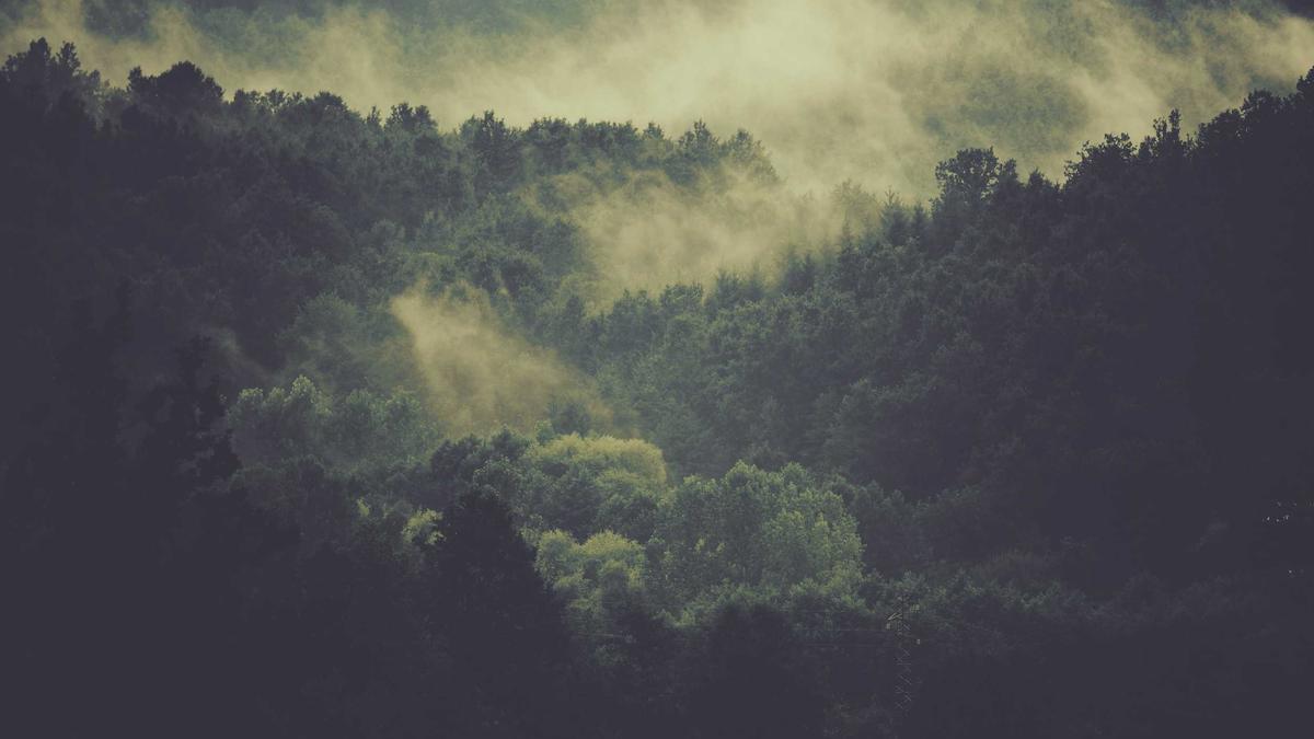 Detailansicht: Randy George