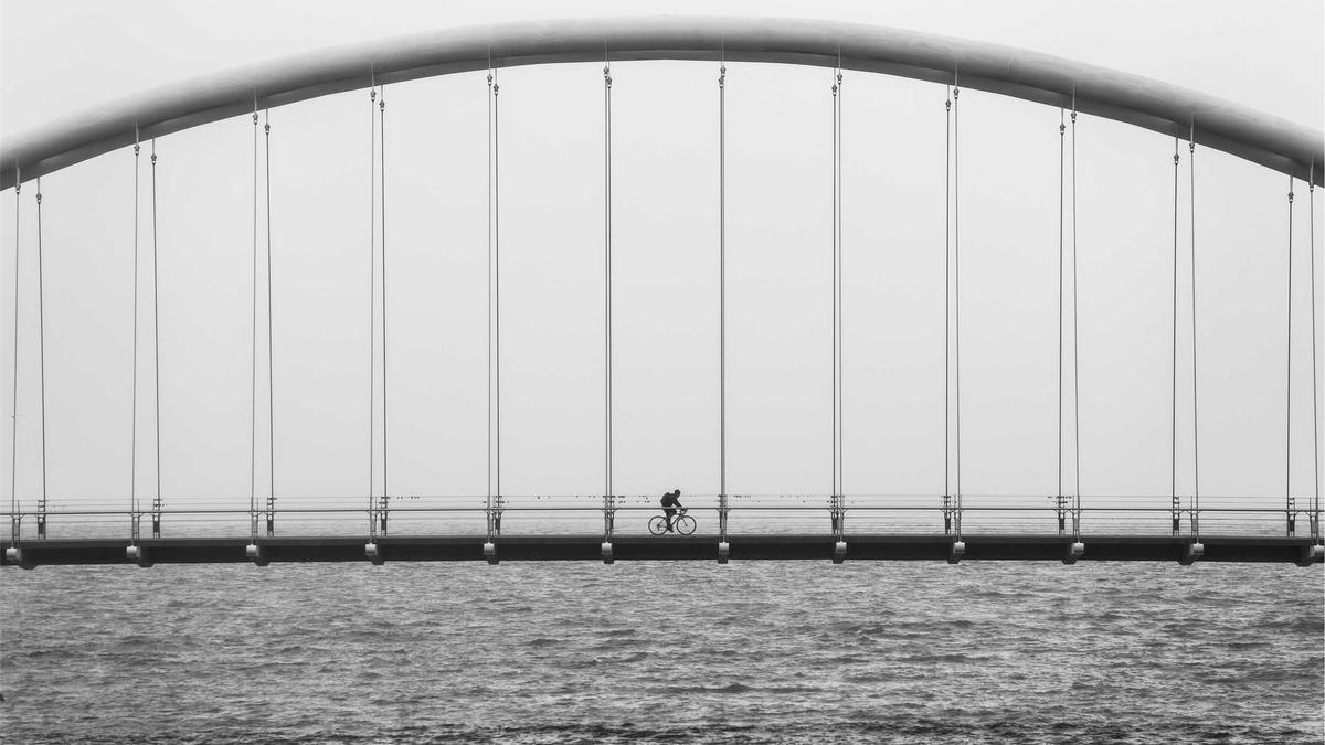 Detailansicht: Raphael Wicky