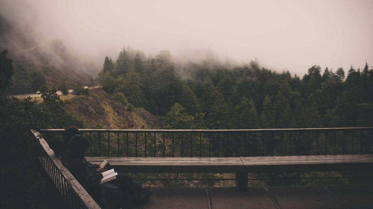 Illustration zu Reunion