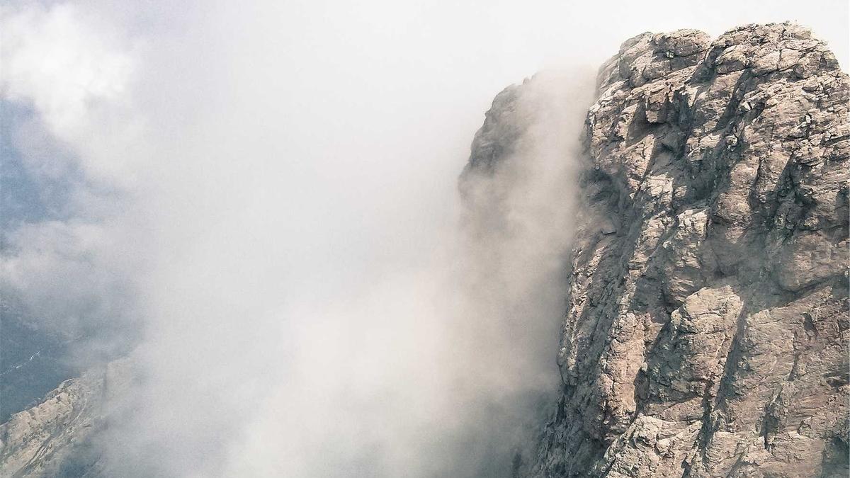 Schalke Spiel Detailansicht: Schalke Spiel