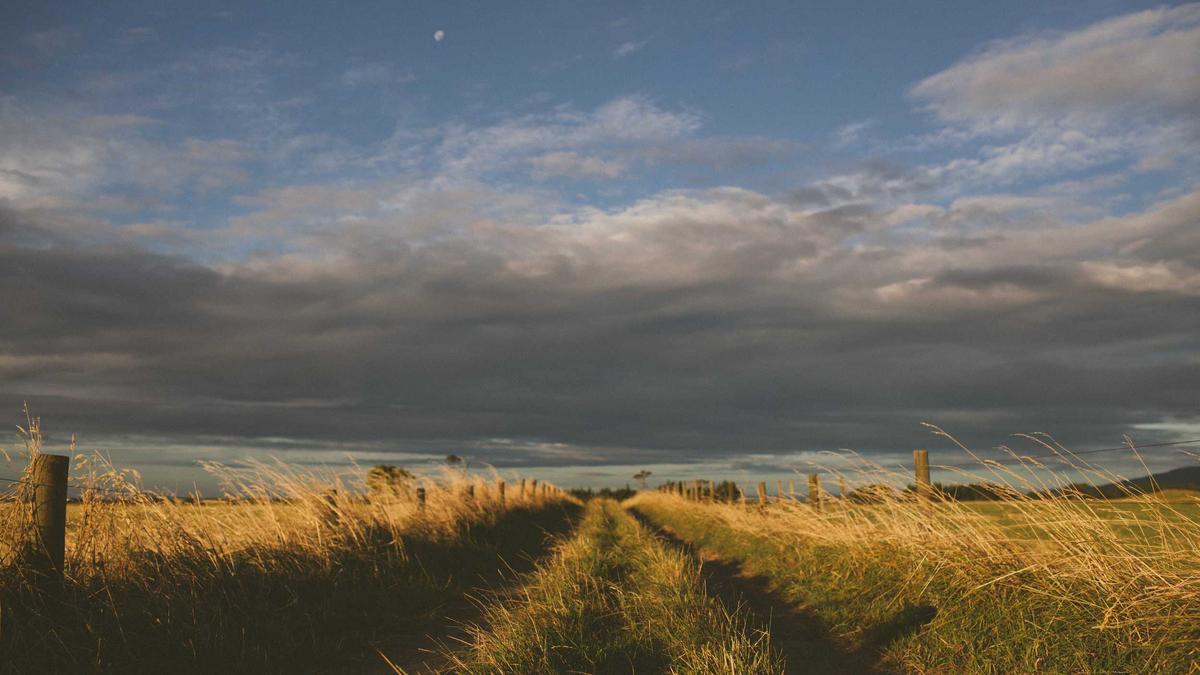 Schweizer Immobilienaktien Symbolbild zum Thema Schweizer Immobilienaktien