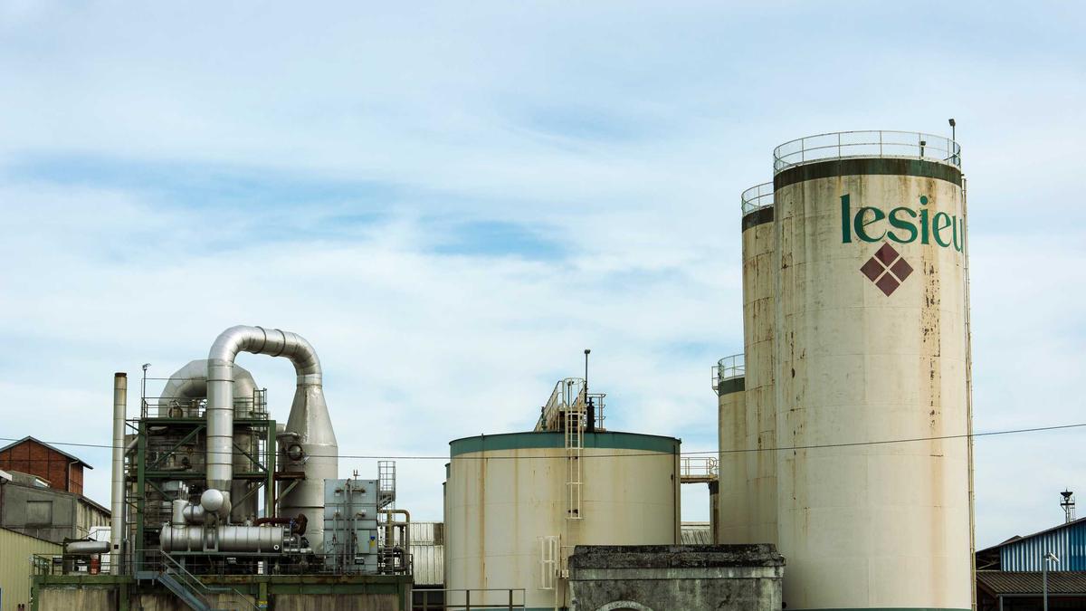 Detailansicht: Sommerschule Wien