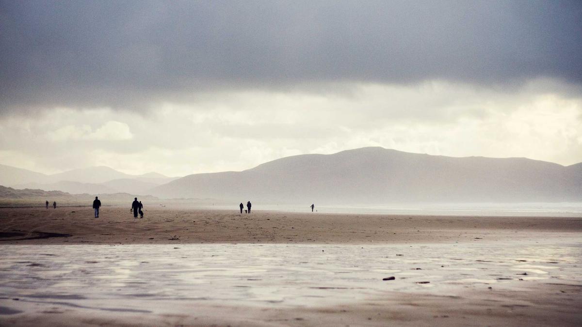 Symbolbild zum Thema Stinkwanzen Bekämpfen