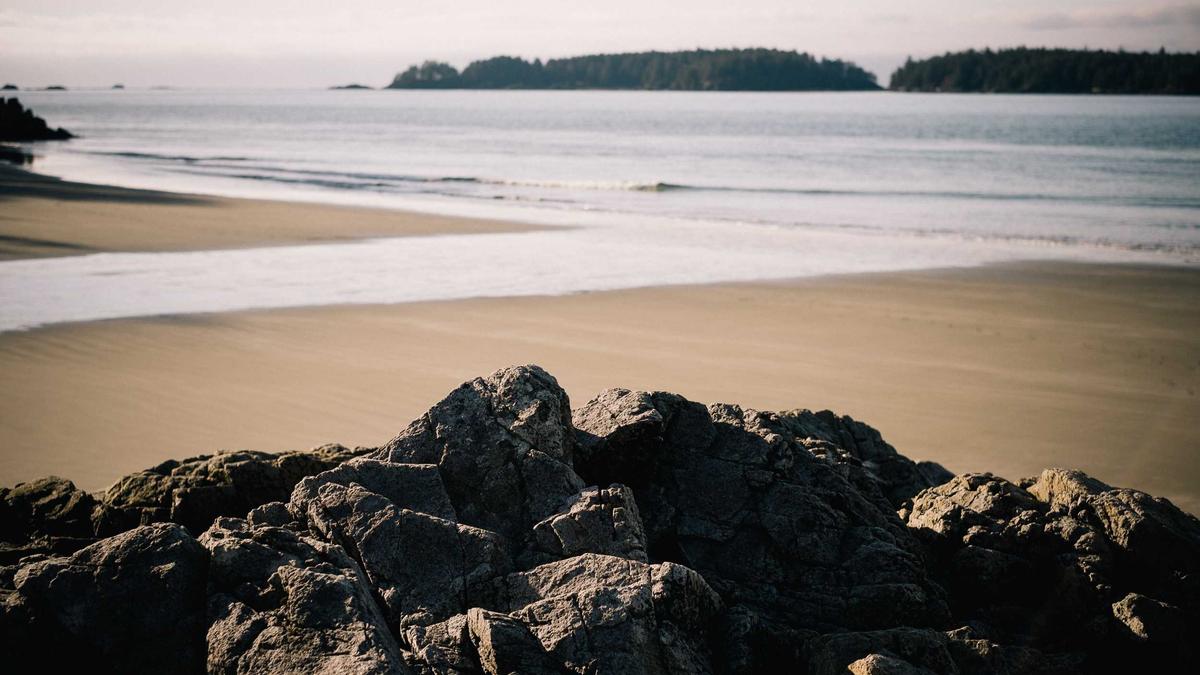 Thrash Netflix Detailansicht: Thrash Netflix