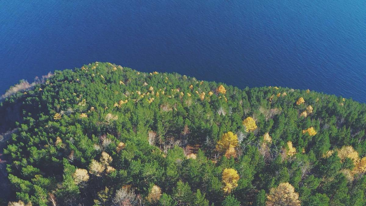 Trump Papst Symbolbild zum Thema Trump Papst