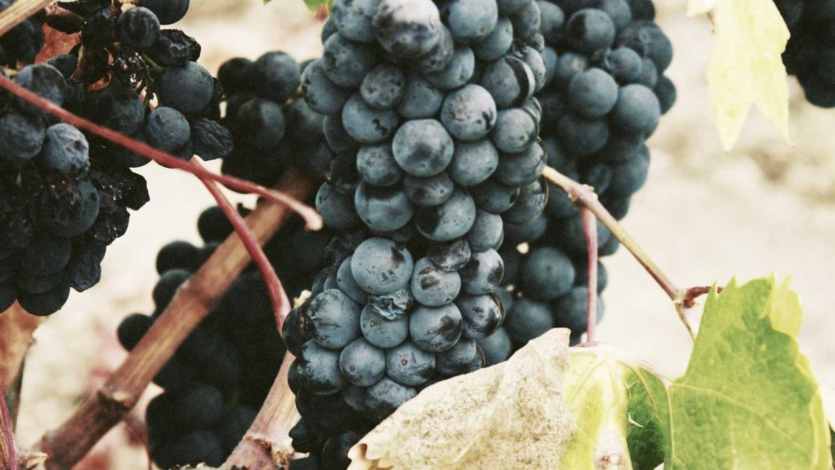 Symbolbild zum Thema Verbund